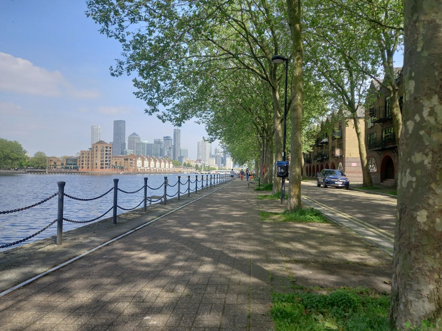 A paved riverside pathway lined with tall, leafy green trees casting shadows over the walkway, with a black metal chain-link barrier running along the edge separating the path from the water. On the right side, there are residential buildings with brick facades, balconies, and parked cars in a small parking area adjacent to the sidewalk. A lamppost with a dark finish stands among the trees, and a mailbox is mounted on it. The water on the left side is calm, reflecting the blue sky with a few scattered clouds. In the distance, a city skyline with modern high-rise buildings and office towers is visible against the horizon. The scene is well-lit by natural daylight, providing a vibrant and clear view of the urban riverside environment. This setting illustrates a typical city promenade that could be a location for private waste collection or rubbish removal services near riverside properties, aligning with the services offered by House Clearance Bow.